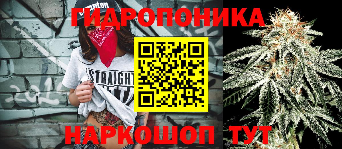 Марихуана White Widow  Канабис марихуана  Вход с VPN  Улан-Удэ 